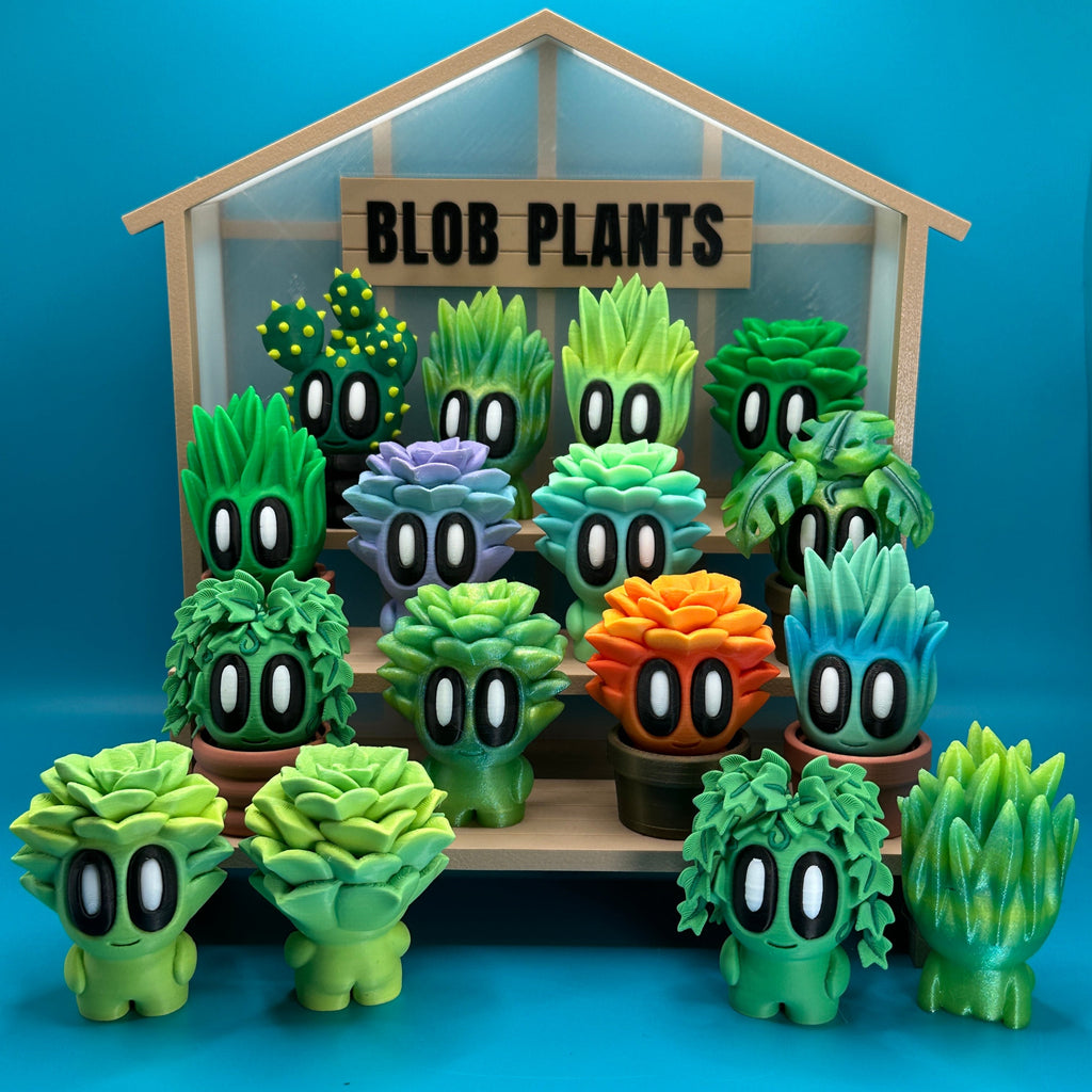 Monstera Blob Plant