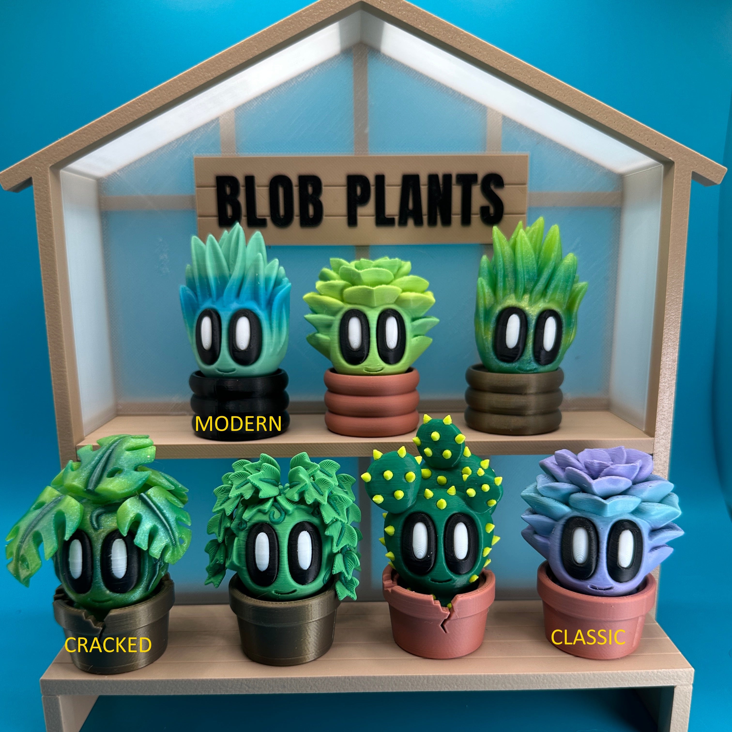 Monstera Blob Plant